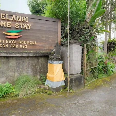 Pelangi Homestay Bedugul Redpartner