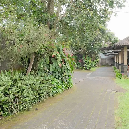 Pelangi Homestay Bedugul Redpartner